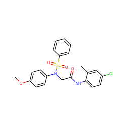 COc1ccc(N(CC(=O)Nc2ccc(Cl)cc2C)S(=O)(=O)c2ccccc2)cc1 ZINC000000875778