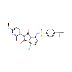 COc1ccc(N2C(=O)c3c(Cl)ccc(NS(=O)(=O)c4ccc(C(C)(C)C)cc4)c3C2=O)c(C)n1 ZINC000653842109