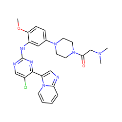 COc1ccc(N2CCN(C(=O)CN(C)C)CC2)cc1Nc1ncc(Cl)c(-c2cnc3ccccn23)n1 ZINC000168456465