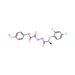 COc1ccc(NC(=O)C(=O)NNC(=O)[C@H](C)Oc2ccc(Cl)cc2Cl)cc1 ZINC000001800570