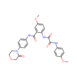 COc1ccc(NC(=O)C(=O)Nc2ccc(OC)cc2C(=O)Nc2ccc(N3CCOCC3=O)cc2)cc1 ZINC000299871953