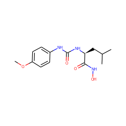 COc1ccc(NC(=O)N[C@@H](CC(C)C)C(=O)NO)cc1 ZINC000095562696