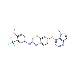 COc1ccc(NC(=O)Nc2ccc(Oc3ncnc4ccn(C)c34)cc2Cl)cc1C(F)(F)F ZINC000064245716