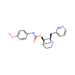 COc1ccc(NC(=O)O[C@@H]2C3CCN(CC3)[C@@H]2Cc2cccnc2)cc1 ZINC000028523468