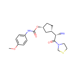 COc1ccc(NC(=O)O[C@@H]2CC[C@H]([C@H](N)C(=O)N3CCSC3)C2)cc1 ZINC000027979839