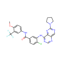 COc1ccc(NC(=O)c2ccc(Cl)c(Nc3ncnc4cnc(N5CCCC5)nc34)c2)cc1C(F)(F)F ZINC000148066065