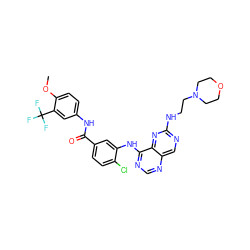 COc1ccc(NC(=O)c2ccc(Cl)c(Nc3ncnc4cnc(NCCN5CCOCC5)nc34)c2)cc1C(F)(F)F ZINC000148066536