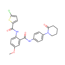 COc1ccc(NC(=O)c2ccc(Cl)s2)c(C(=O)Nc2ccc(N3CCCCC3=O)cc2)c1 ZINC000299855603