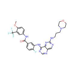 COc1ccc(NC(=O)c2ccc(F)c(Nc3ncnc4cnc(NCCCN5CCOCC5)nc34)c2)cc1C(F)(F)F ZINC000148074219