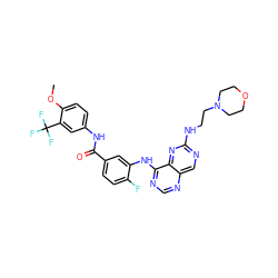 COc1ccc(NC(=O)c2ccc(F)c(Nc3ncnc4cnc(NCCN5CCOCC5)nc34)c2)cc1C(F)(F)F ZINC000148075386