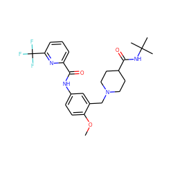 COc1ccc(NC(=O)c2cccc(C(F)(F)F)n2)cc1CN1CCC(C(=O)NC(C)(C)C)CC1 ZINC001772623155