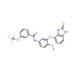 COc1ccc(NC(=O)c2cccc(OC(F)(F)F)c2)cc1Oc1cccc2[nH]c(=O)[nH]c12 ZINC000045335950