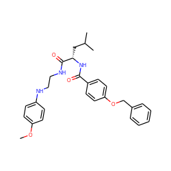 COc1ccc(NCCNC(=O)[C@H](CC(C)C)NC(=O)c2ccc(OCc3ccccc3)cc2)cc1 ZINC000003972188