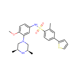 COc1ccc(NS(=O)(=O)c2ccc(-c3cccs3)cc2C)cc1N1C[C@H](C)N[C@H](C)C1 ZINC000095598570