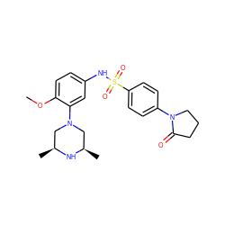 COc1ccc(NS(=O)(=O)c2ccc(N3CCCC3=O)cc2)cc1N1C[C@H](C)N[C@H](C)C1 ZINC000095598543