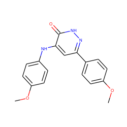 COc1ccc(Nc2cc(-c3ccc(OC)cc3)n[nH]c2=O)cc1 ZINC000299830664