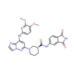 COc1ccc(Nc2cc(N3CCC[C@H](C(=O)Nc4ccc5c(c4)C(=O)NC5=O)C3)nn3ccnc23)nc1OC ZINC000207407834