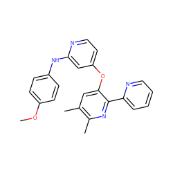 COc1ccc(Nc2cc(Oc3cc(C)c(C)nc3-c3ccccn3)ccn2)cc1 ZINC000045286379