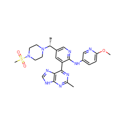 COc1ccc(Nc2ncc([C@@H](C)N3CCN(S(C)(=O)=O)CC3)cc2-c2nc(C)nc3[nH]cnc23)cn1 ZINC000113154462