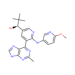 COc1ccc(Nc2ncc([C@@H](O)C(C)(C)C)cc2-c2nc(C)nc3[nH]cnc23)cn1 ZINC000113148395