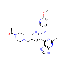 COc1ccc(Nc2ncc(CN3CCN(C(C)=O)CC3)cc2-c2nc(C)nc3[nH]cnc23)cn1 ZINC000113150641