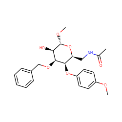 COc1ccc(O[C@@H]2[C@H](CNC(C)=O)O[C@@H](OC)[C@H](O)[C@@H]2OCc2ccccc2)cc1 ZINC000029477841