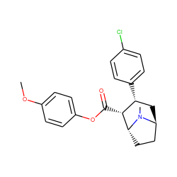 COc1ccc(OC(=O)[C@@H]2[C@H](c3ccc(Cl)cc3)C[C@H]3CC[C@H]2N3C)cc1 ZINC000100728632