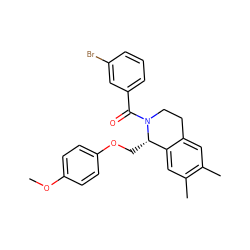 COc1ccc(OC[C@H]2c3cc(C)c(C)cc3CCN2C(=O)c2cccc(Br)c2)cc1 ZINC000096271977