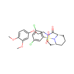 COc1ccc(OCCN2CC[C@H]3CCC[C@@H](C2=O)N3S(=O)(=O)c2cc(Cl)cc(Cl)c2)cc1OC ZINC000095604976