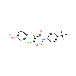 COc1ccc(Oc2c(Cl)cnn(-c3ccc(C(C)(C)C)cc3)c2=O)cc1 ZINC000066148524