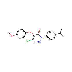 COc1ccc(Oc2c(Cl)cnn(-c3ccc(C(C)C)cc3)c2=O)cc1 ZINC000066148918