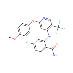 COc1ccc(Oc2cc(Nc3cc(Cl)ccc3C(N)=O)c(C(F)(F)F)cn2)cc1 ZINC000073161959