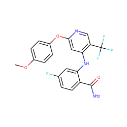 COc1ccc(Oc2cc(Nc3cc(F)ccc3C(N)=O)c(C(F)(F)F)cn2)cc1 ZINC000073161957