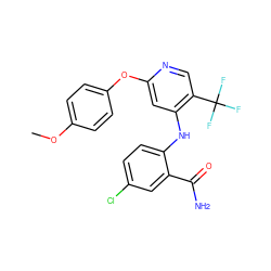 COc1ccc(Oc2cc(Nc3ccc(Cl)cc3C(N)=O)c(C(F)(F)F)cn2)cc1 ZINC000073161953