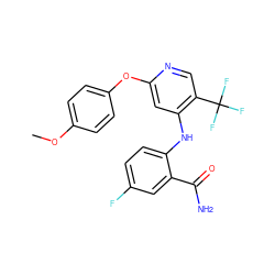 COc1ccc(Oc2cc(Nc3ccc(F)cc3C(N)=O)c(C(F)(F)F)cn2)cc1 ZINC000073160737