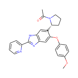 COc1ccc(Oc2cc3nc(-c4ccccn4)[nH]c3cc2[C@H]2CCCN2C(C)=O)cc1 ZINC000043120142