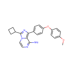 COc1ccc(Oc2ccc(-c3nc(C4CCC4)n4ccnc(N)c34)cc2)cc1 ZINC000096168218