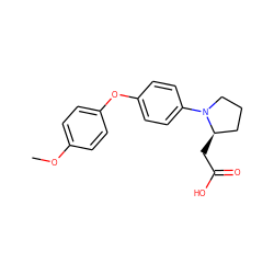 COc1ccc(Oc2ccc(N3CCC[C@H]3CC(=O)O)cc2)cc1 ZINC000205697316