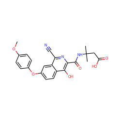 COc1ccc(Oc2ccc3c(O)c(C(=O)NC(C)(C)CC(=O)O)nc(C#N)c3c2)cc1 ZINC000146672437