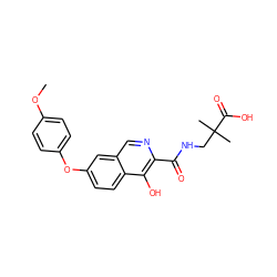 COc1ccc(Oc2ccc3c(O)c(C(=O)NCC(C)(C)C(=O)O)ncc3c2)cc1 ZINC000146674448