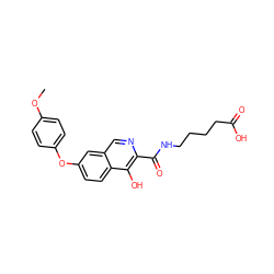 COc1ccc(Oc2ccc3c(O)c(C(=O)NCCCCC(=O)O)ncc3c2)cc1 ZINC000146710601