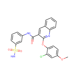 COc1ccc(Oc2nc3ccccc3cc2C(=O)Nc2cccc(S(N)(=O)=O)c2)c(Cl)c1 ZINC000143247808