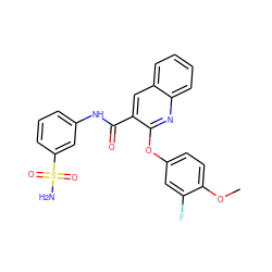 COc1ccc(Oc2nc3ccccc3cc2C(=O)Nc2cccc(S(N)(=O)=O)c2)cc1F ZINC000143165171