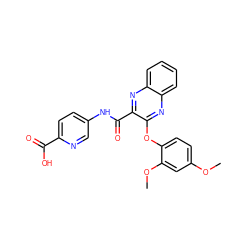 COc1ccc(Oc2nc3ccccc3nc2C(=O)Nc2ccc(C(=O)O)nc2)c(OC)c1 ZINC000143175341