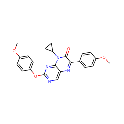 COc1ccc(Oc2ncc3nc(-c4ccc(OC)cc4)c(=O)n(C4CC4)c3n2)cc1 ZINC000004238818