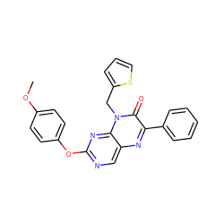 COc1ccc(Oc2ncc3nc(-c4ccccc4)c(=O)n(Cc4cccs4)c3n2)cc1 ZINC000004238251