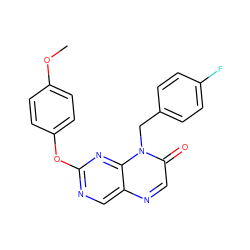 COc1ccc(Oc2ncc3ncc(=O)n(Cc4ccc(F)cc4)c3n2)cc1 ZINC000004238468