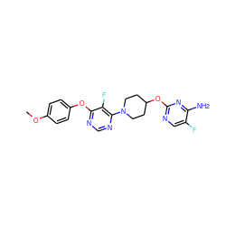 COc1ccc(Oc2ncnc(N3CCC(Oc4ncc(F)c(N)n4)CC3)c2F)cc1 ZINC000049021914