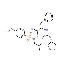 COc1ccc(S(=O)(=O)N(CC(C)C)C[C@@H](O)[C@H](Cc2ccccc2)NC(=O)O[C@H]2CCOC2)cc1 ZINC000014946403
