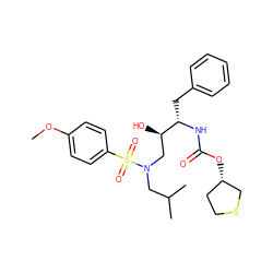 COc1ccc(S(=O)(=O)N(CC(C)C)C[C@@H](O)[C@H](Cc2ccccc2)NC(=O)O[C@H]2CCSC2)cc1 ZINC000014946399